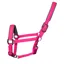 Woof Wear Contour Head Collar Berry
